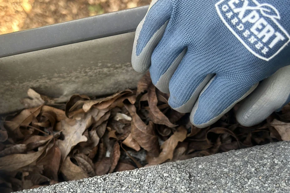 Myrtle Beach Gutter Cleaning