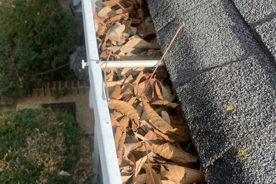 Myrtle Beach Gutter Cleaning